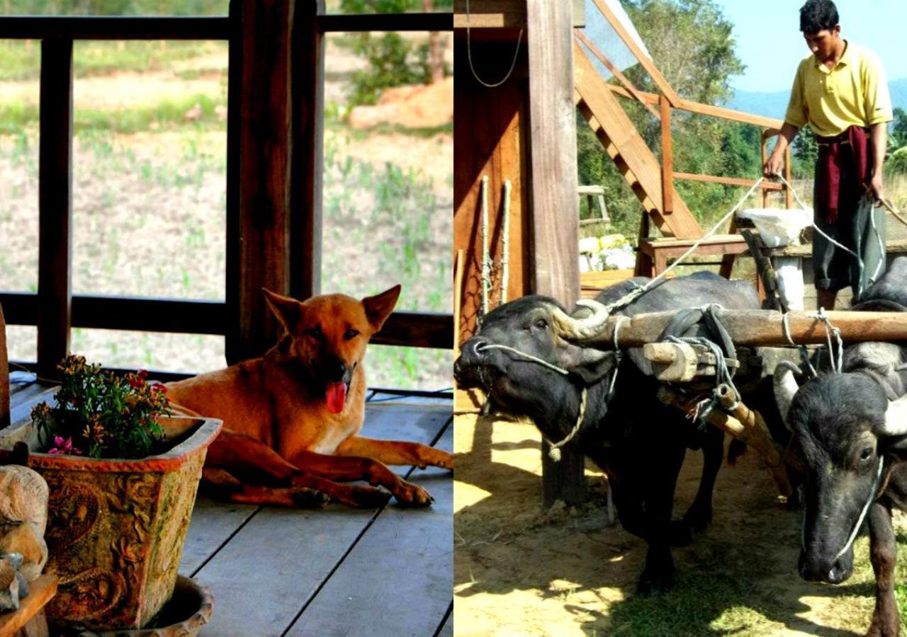 Shanta Ghar A Rustic Guesthouse Читван Экстерьер фото